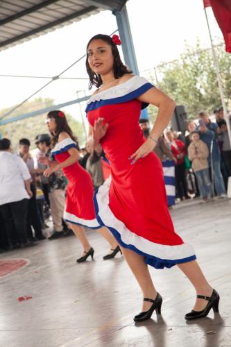 Feria Chilenidad 10
